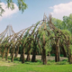Image for article titled Behold These Incredible Works Of Architecture Made Out Of Living Trees